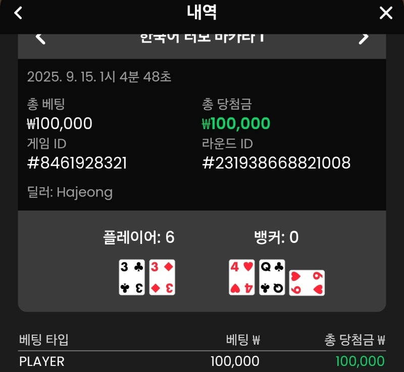 플레이어 승