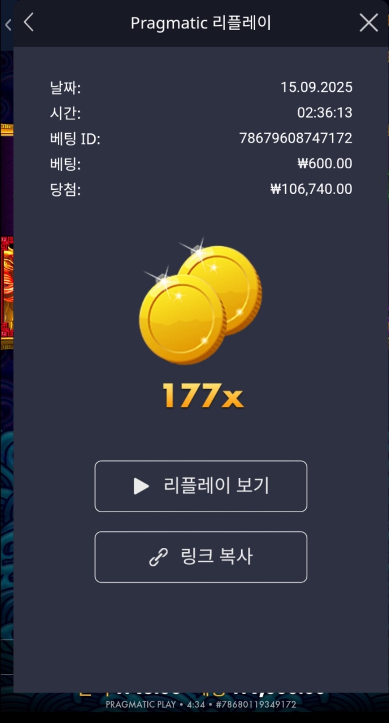 오라매 177배