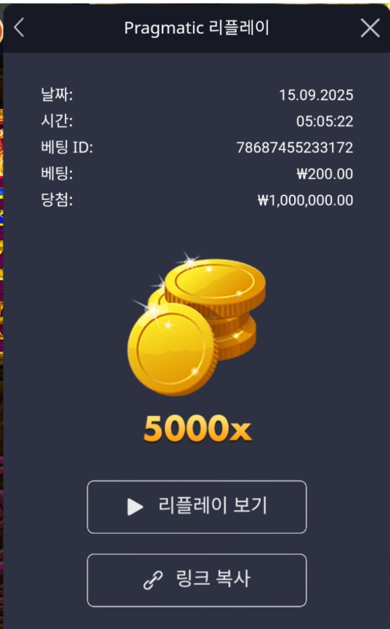 토라메5000배