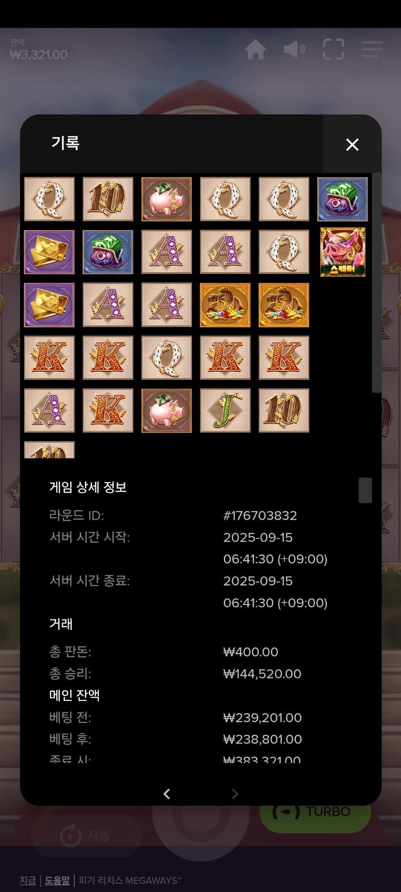 레드타이거  피기리치스메가 361배