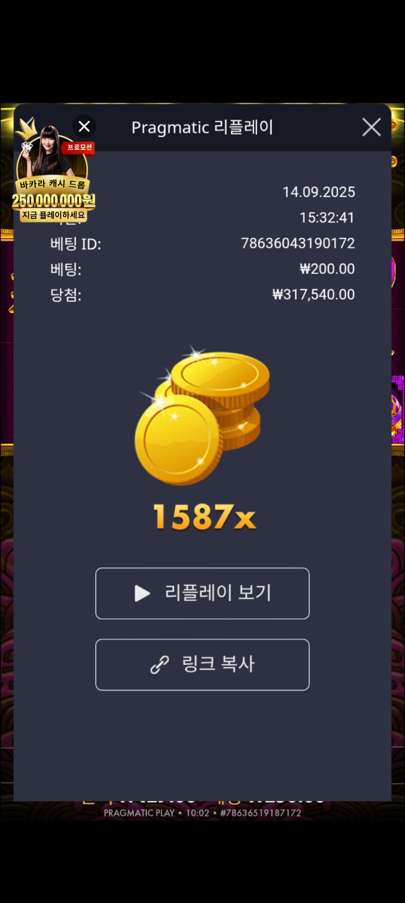 토라메 1587배 어제것