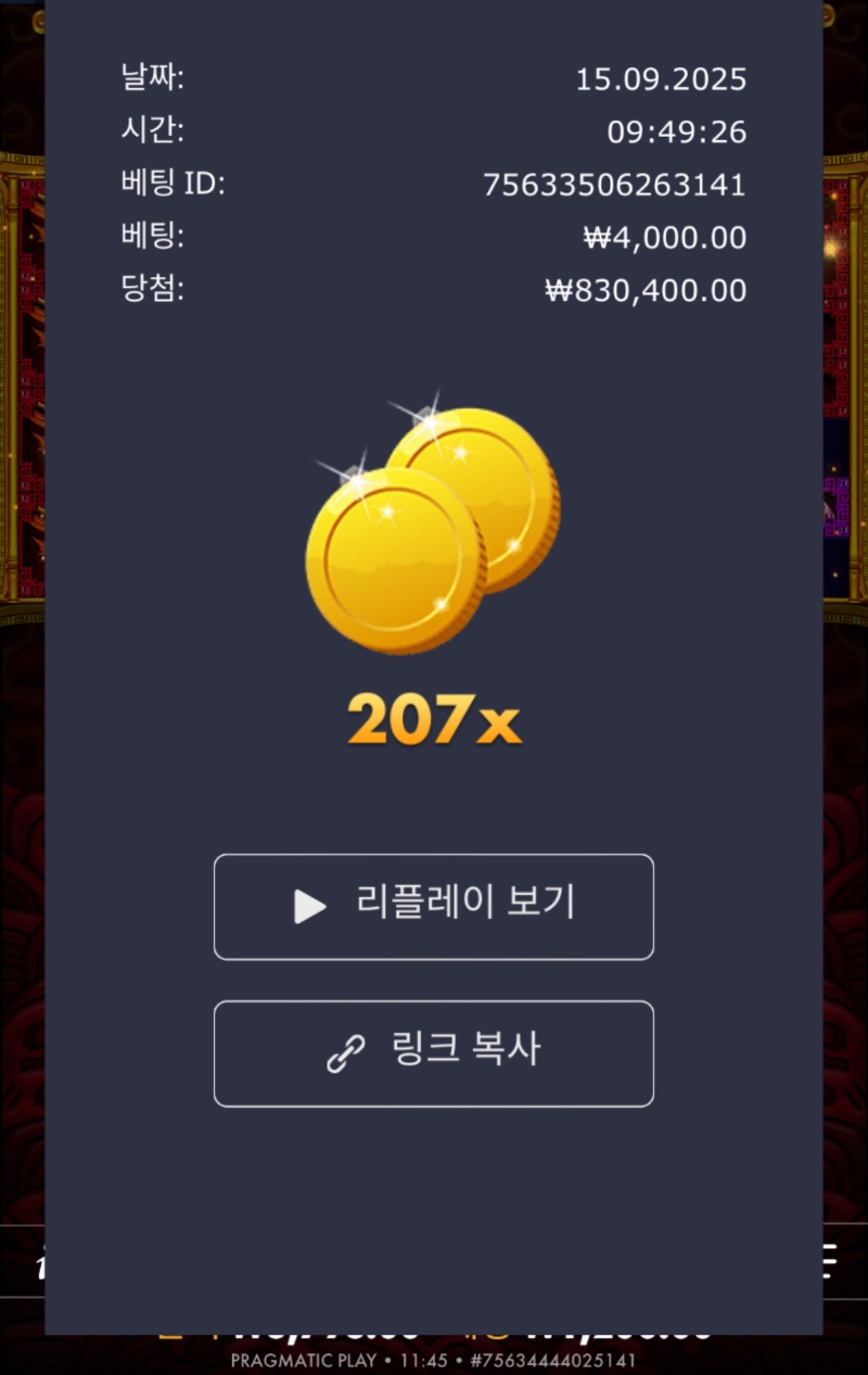 오라메 207배