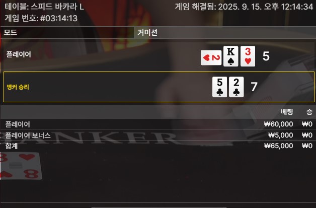 바카라 패1