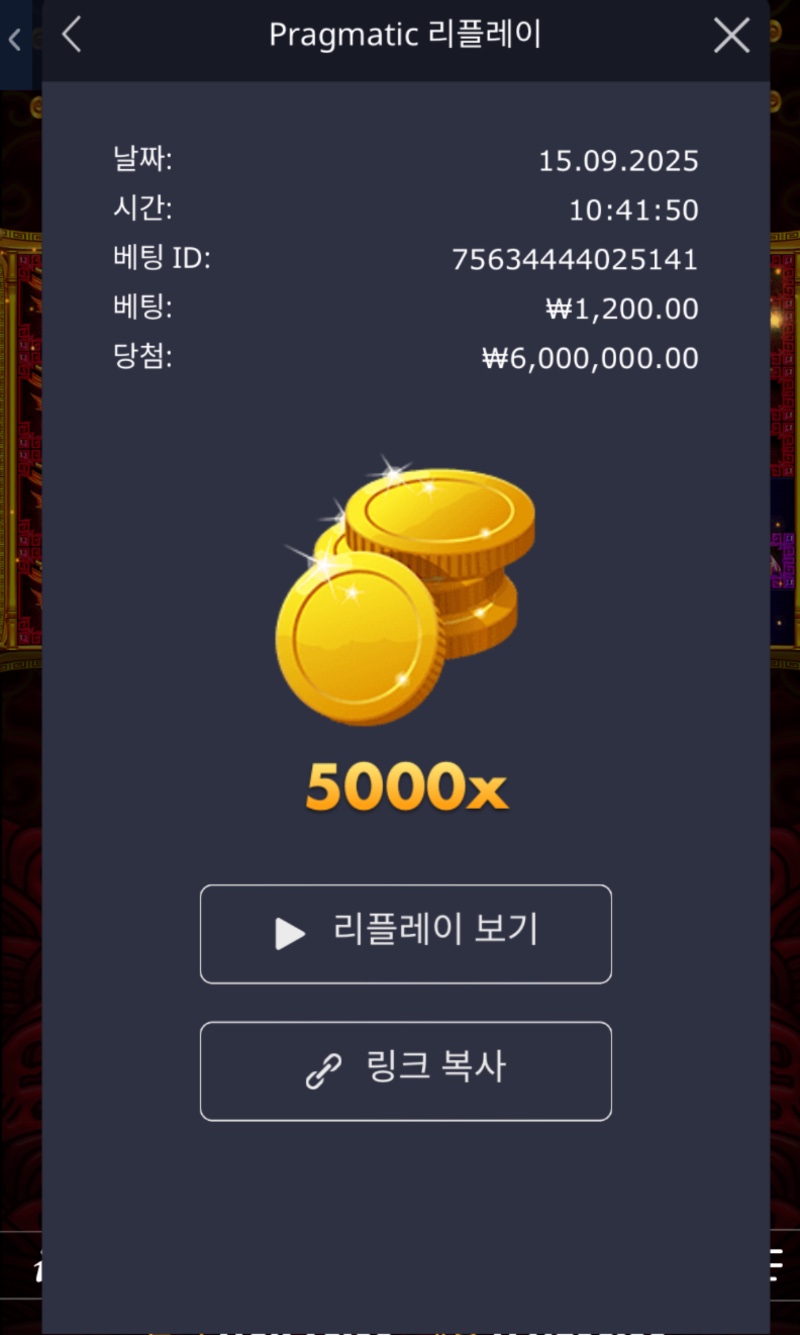 오라메 5000배