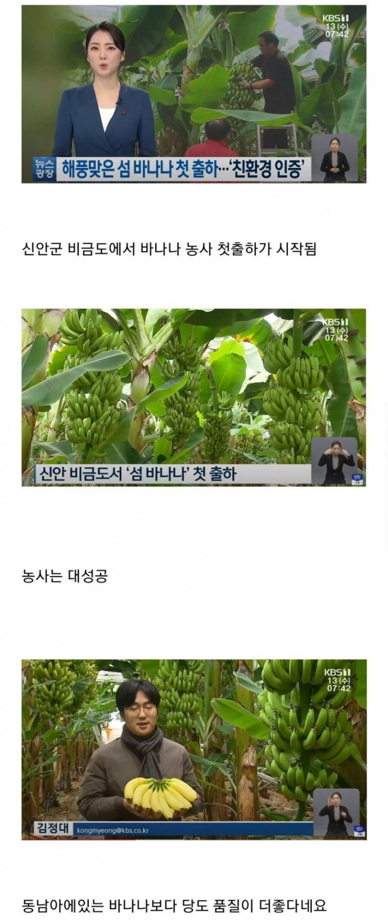 신안군 근황