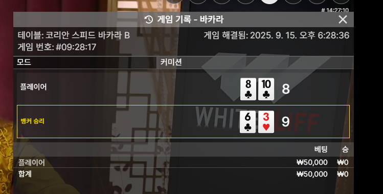 바카라 패!