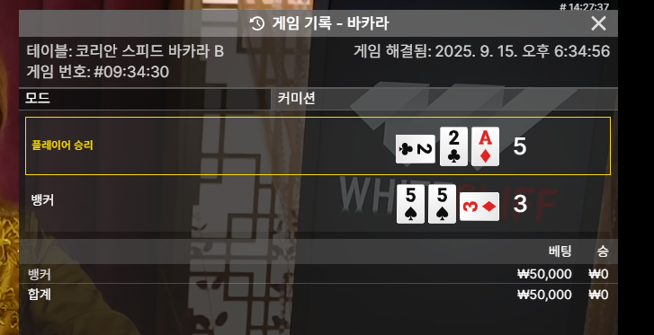 바카라 또 패!