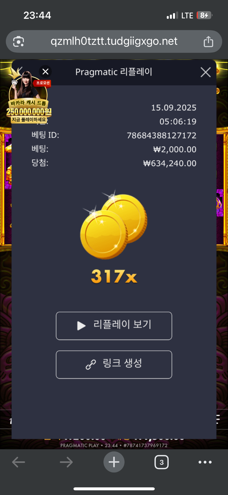 토라매 317