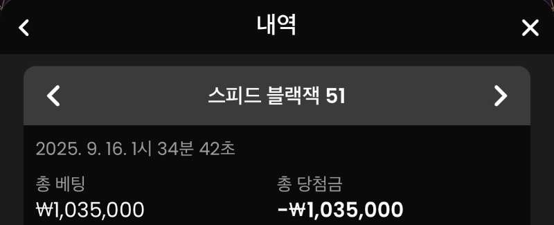 블랙잭 석체크