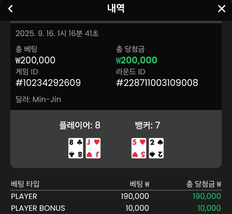플레이어 승