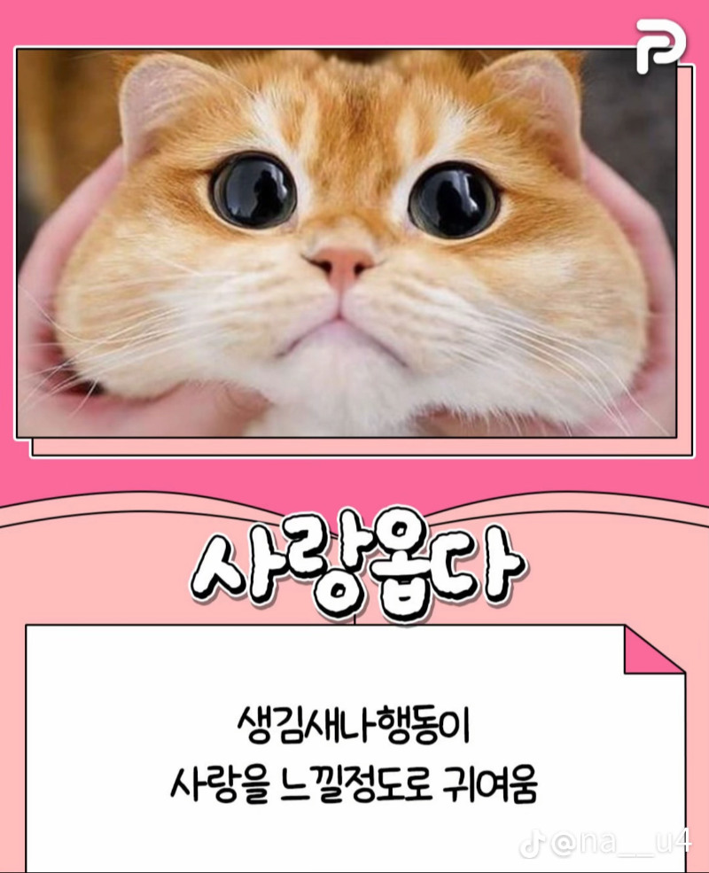 굿몽~귀여운 순 우리말!