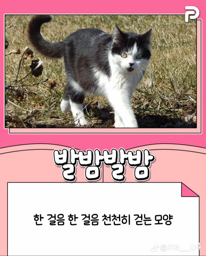 굿몽~귀여운 순 우리말!