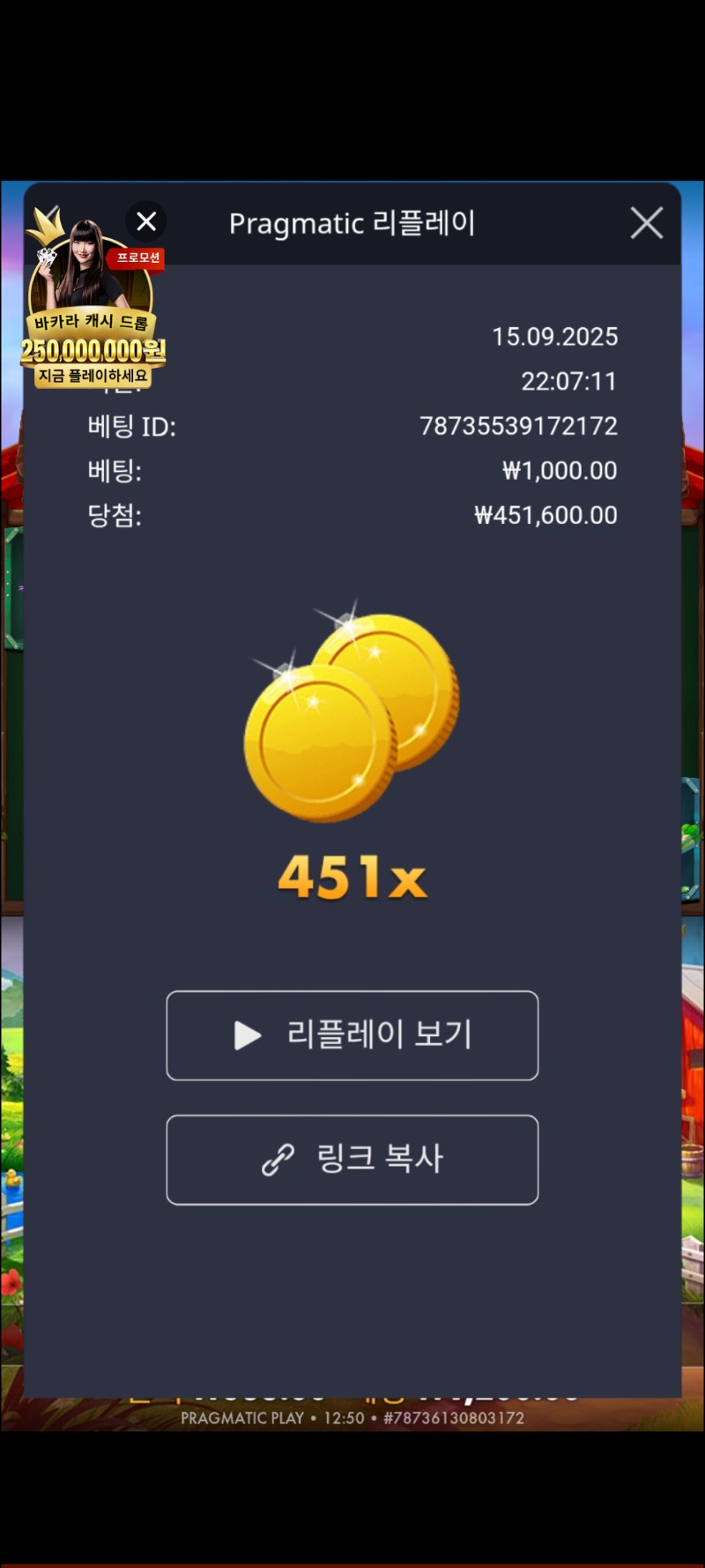 닭집