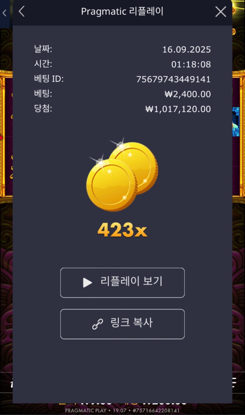 토라메423배