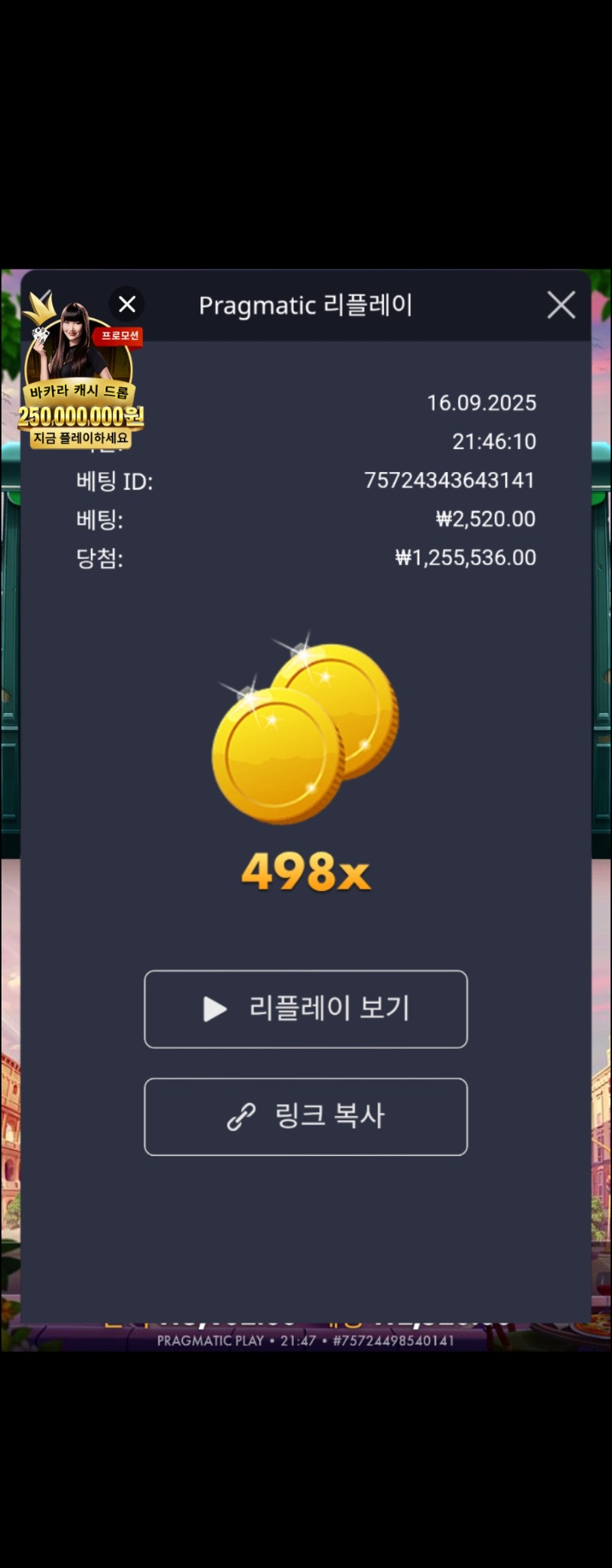 홀리데이 498배