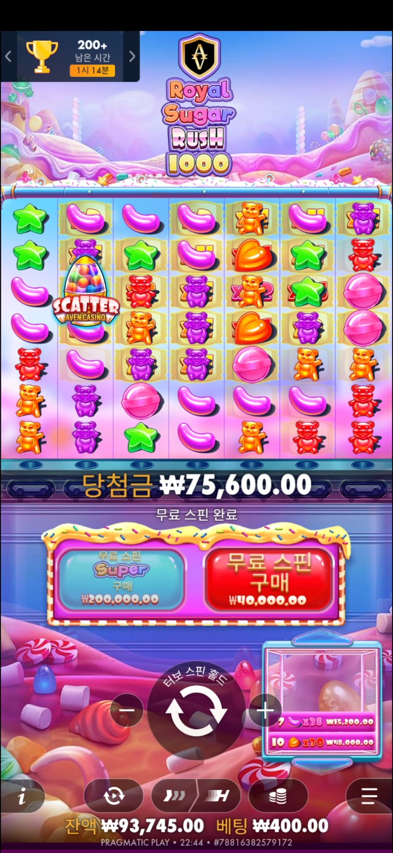 로얄 슈가1000 189배