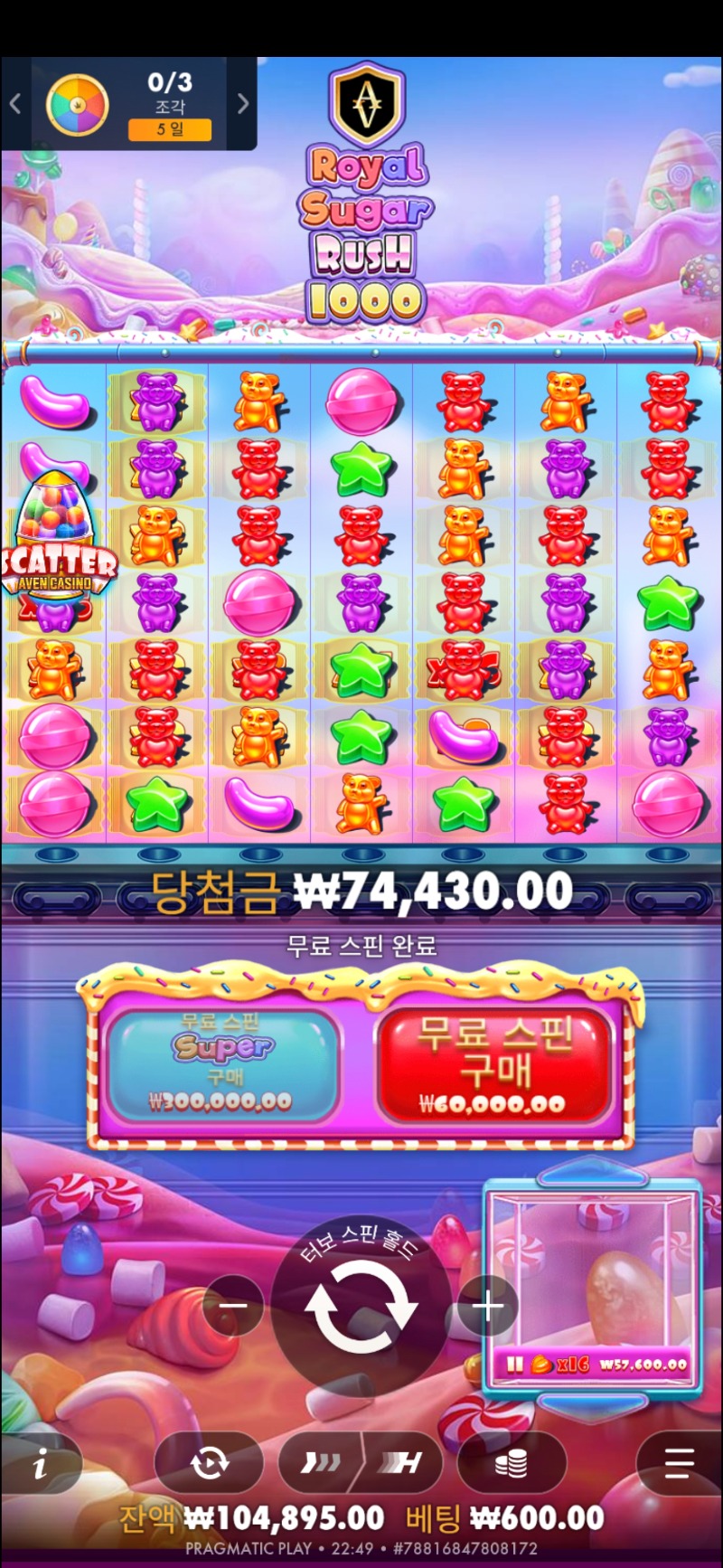 로얄 슈가1000 124배~