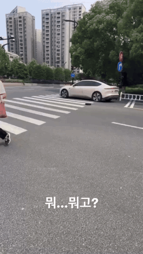 집 나온 청소기