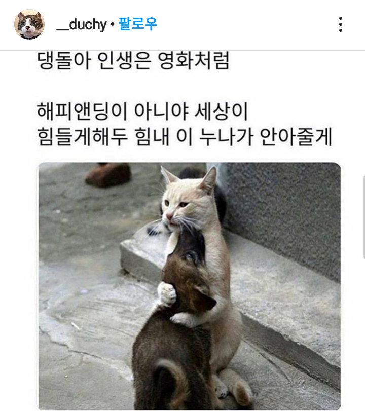 댕돌아