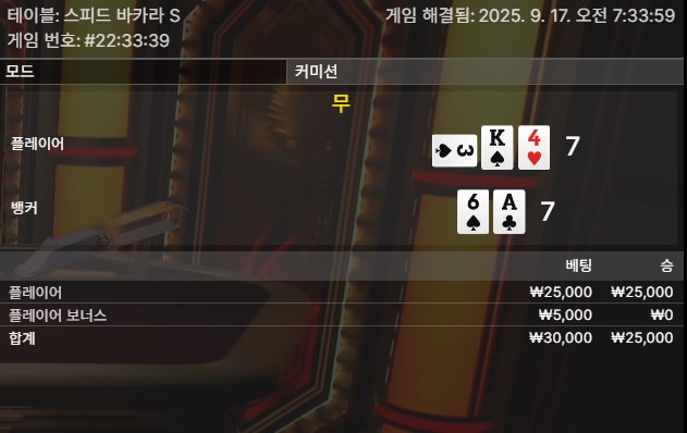 바카라 타이