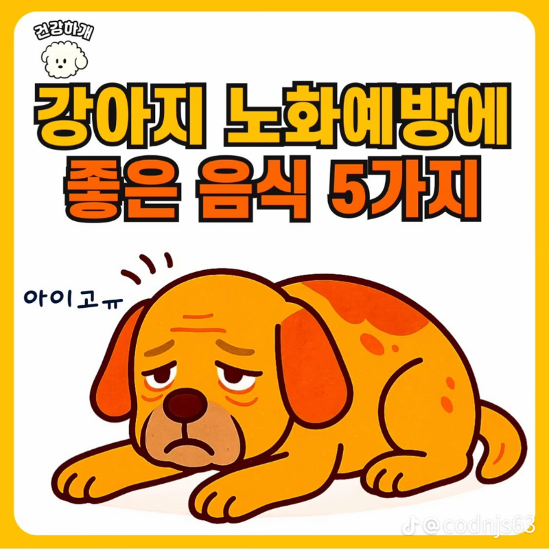 굿몽~강아지 노화예방 음식