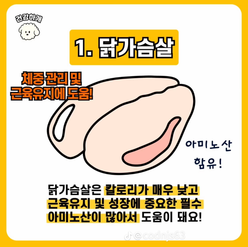 굿몽~강아지 노화예방 음식