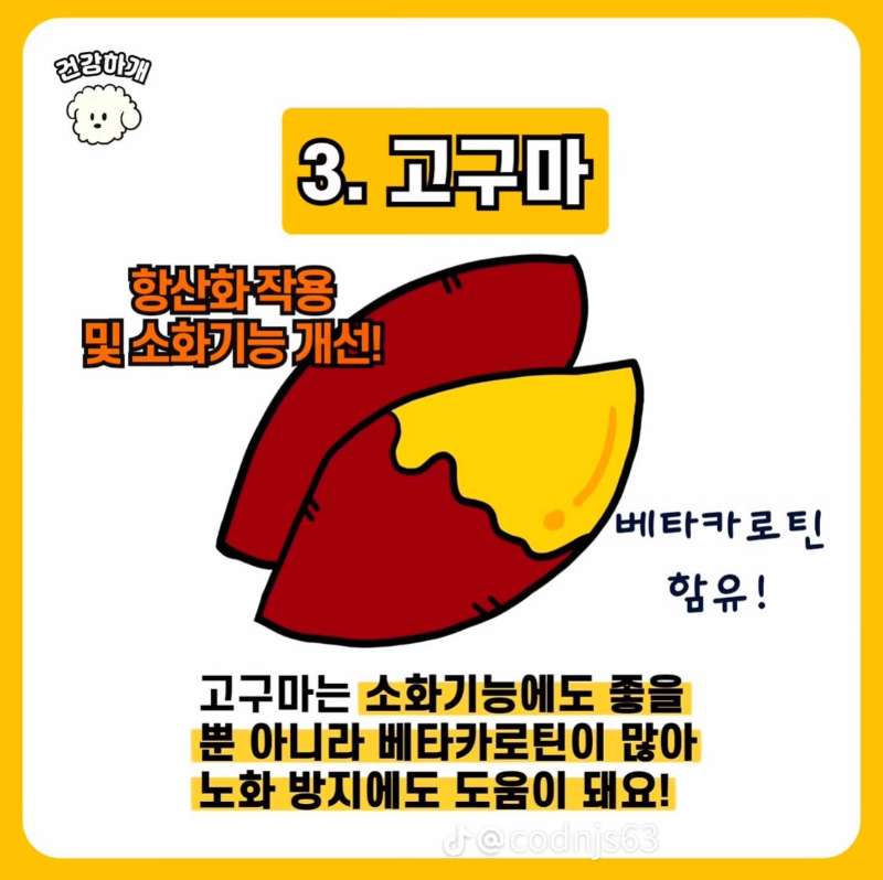 굿몽~강아지 노화예방 음식