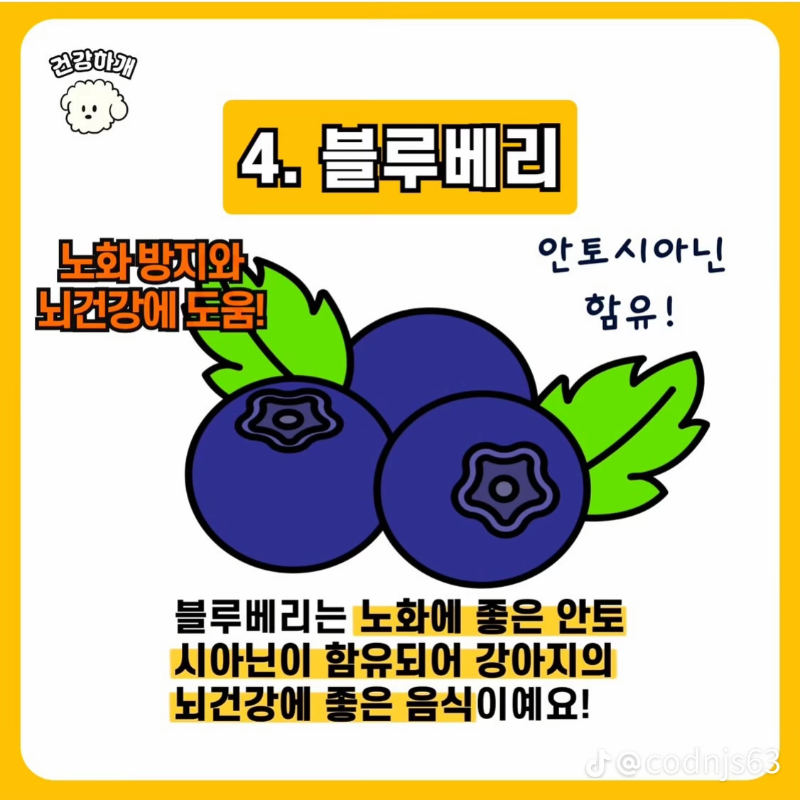 굿몽~강아지 노화예방 음식