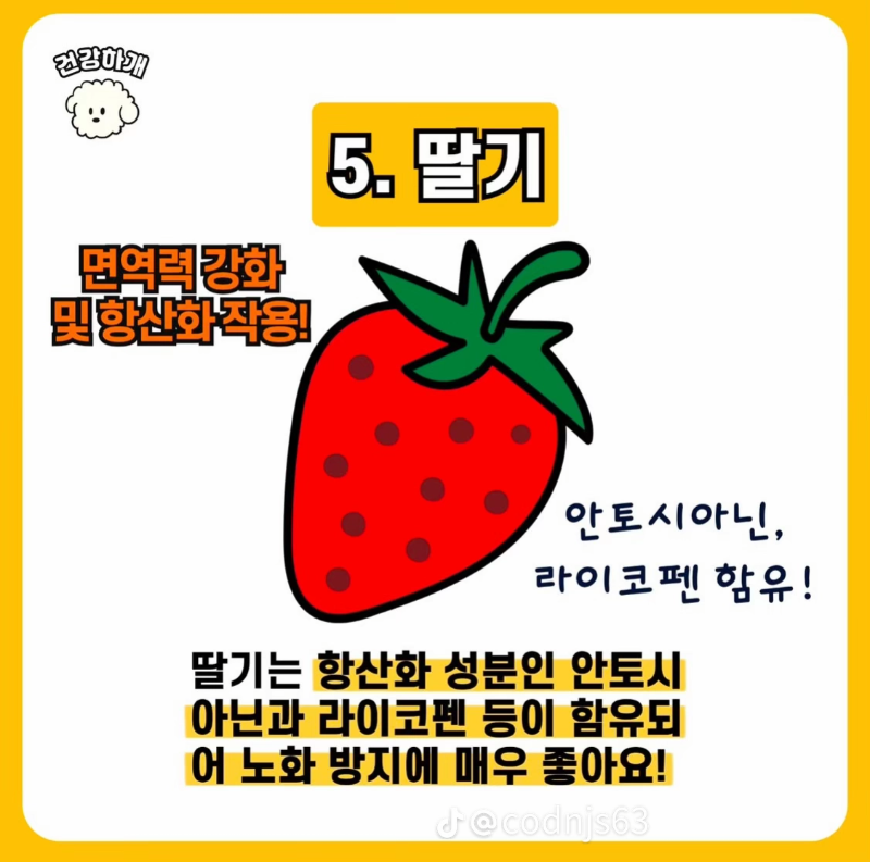 굿몽~강아지 노화예방 음식