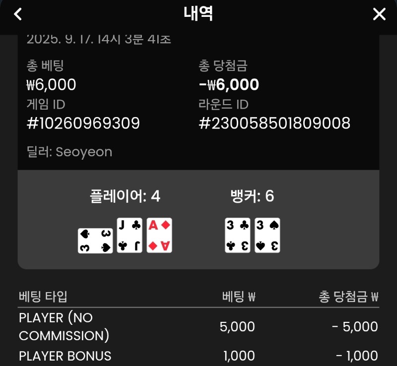 플레이어 패