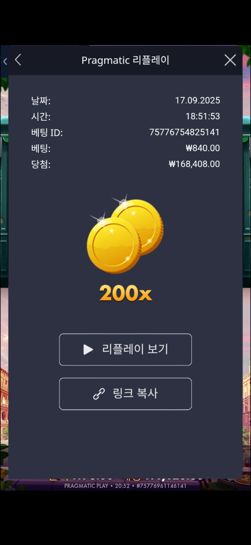 홀리라이더 200배