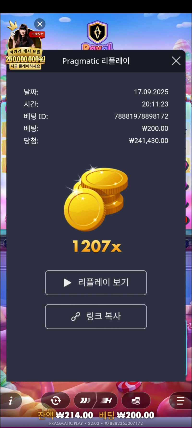 로얄슈천1207
