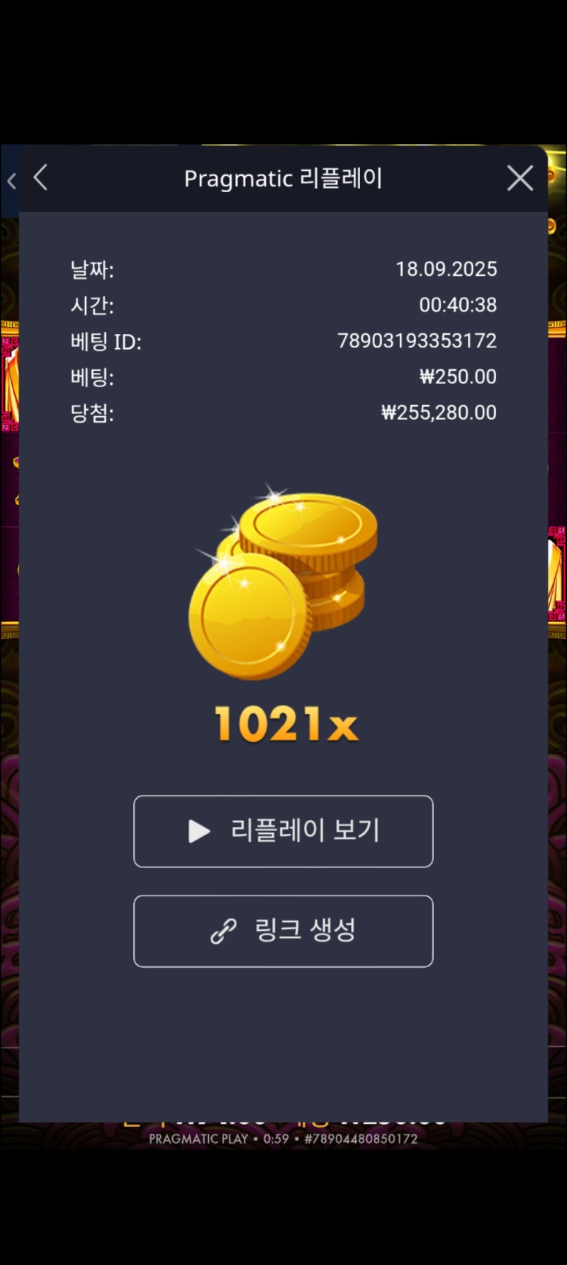 토라메 1021배