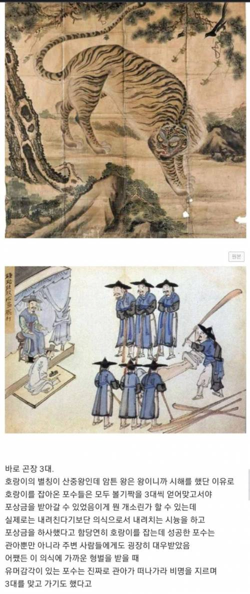 조선시대 호랑이 잡으면 주는 상