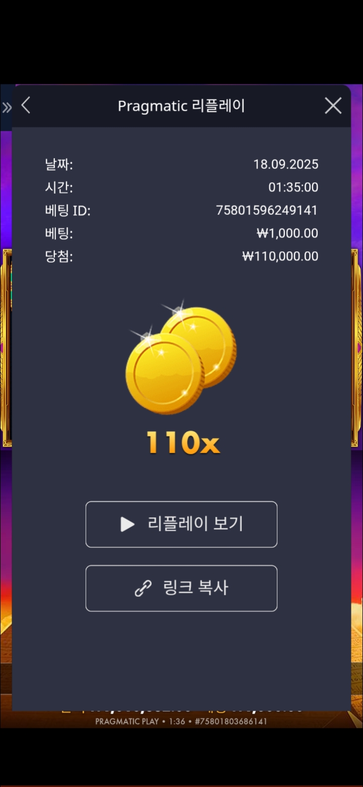 포오기110