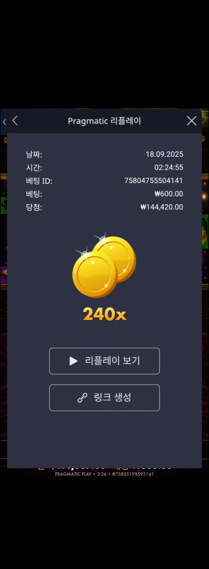 토라메 240배