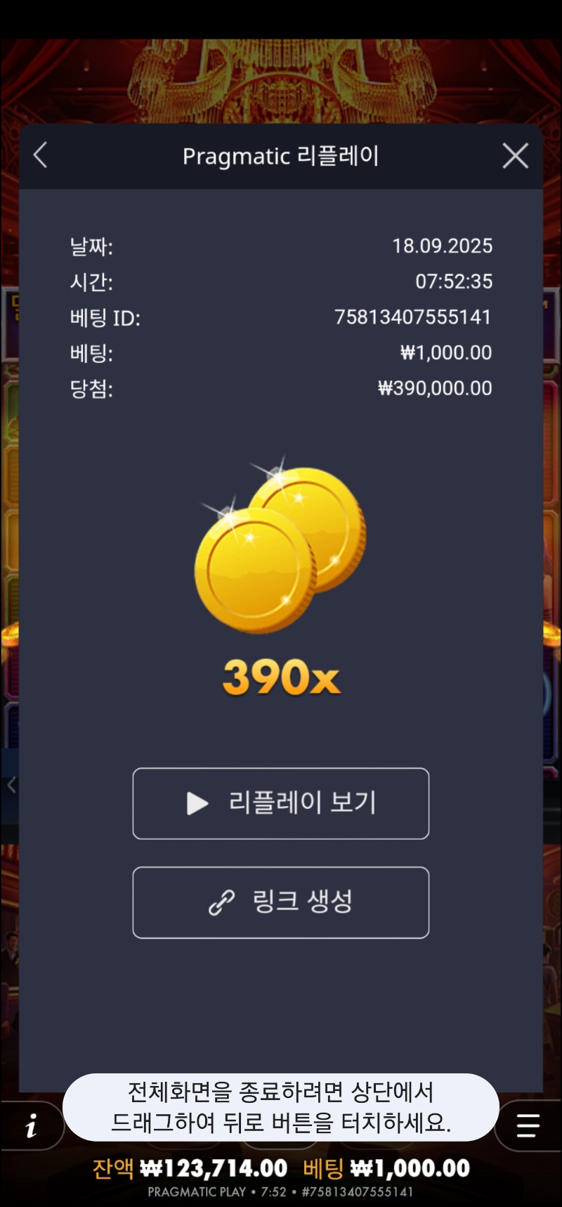 카지노헤이스트 390배