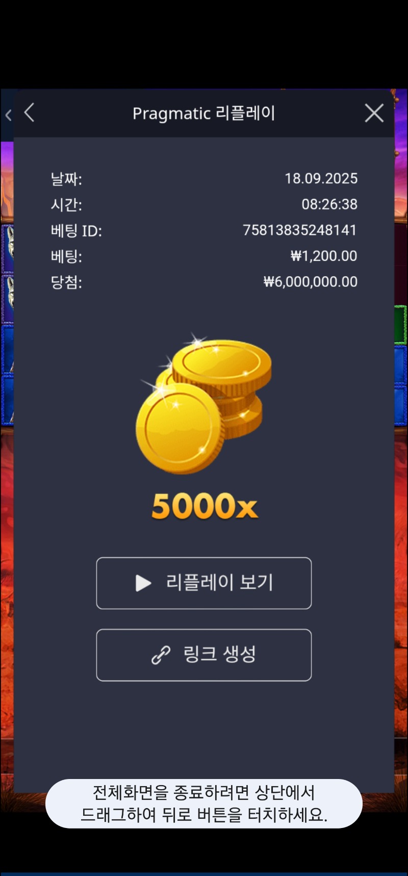 버메가 맥스 5000