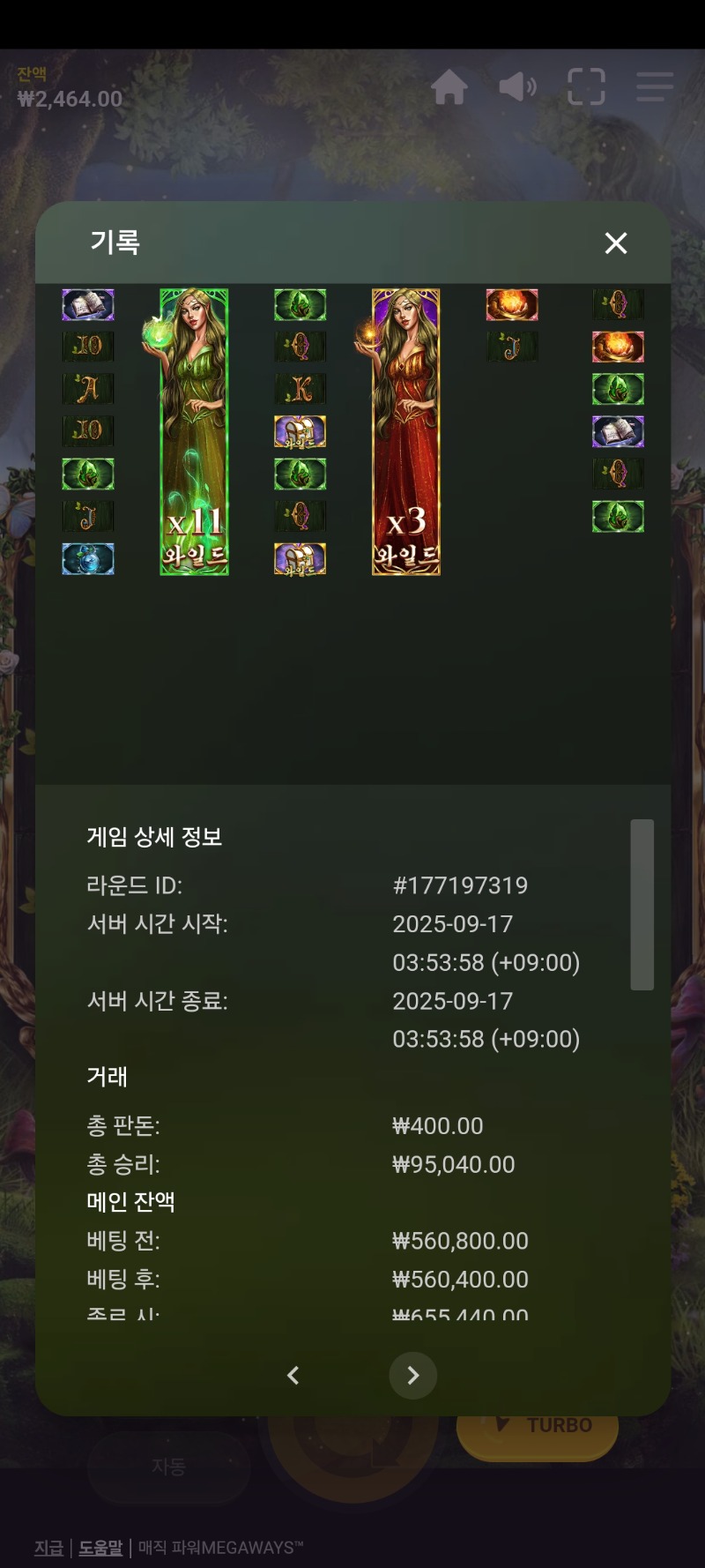 레드타이거 매직파워메가 237배