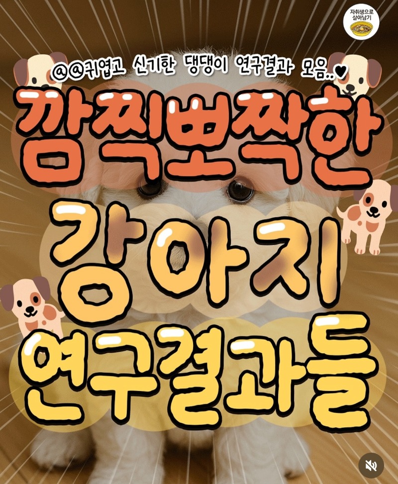 굿밤~강아지 연구결과