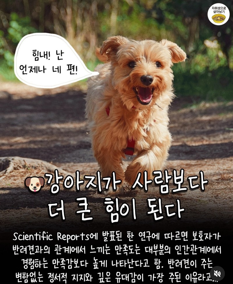 굿밤~강아지 연구결과
