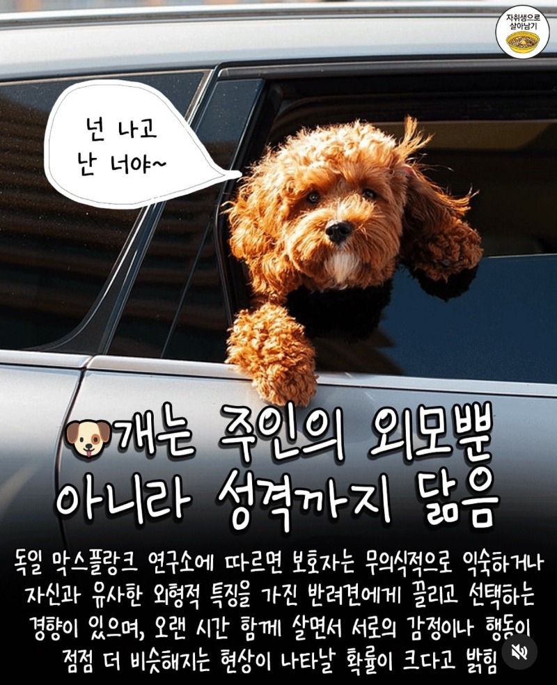 굿밤~강아지 연구결과