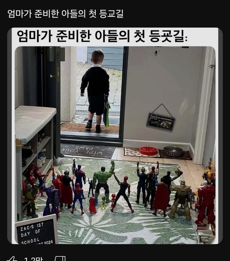 굿밤~강아지 연구결과