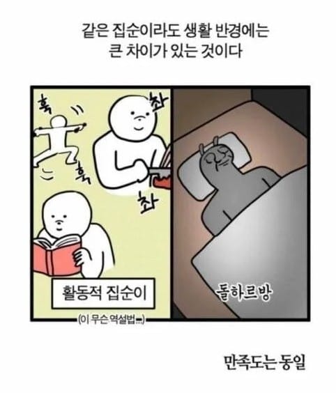 집순이도 차이가 있다