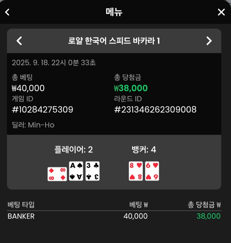 바카라 뱅커 승