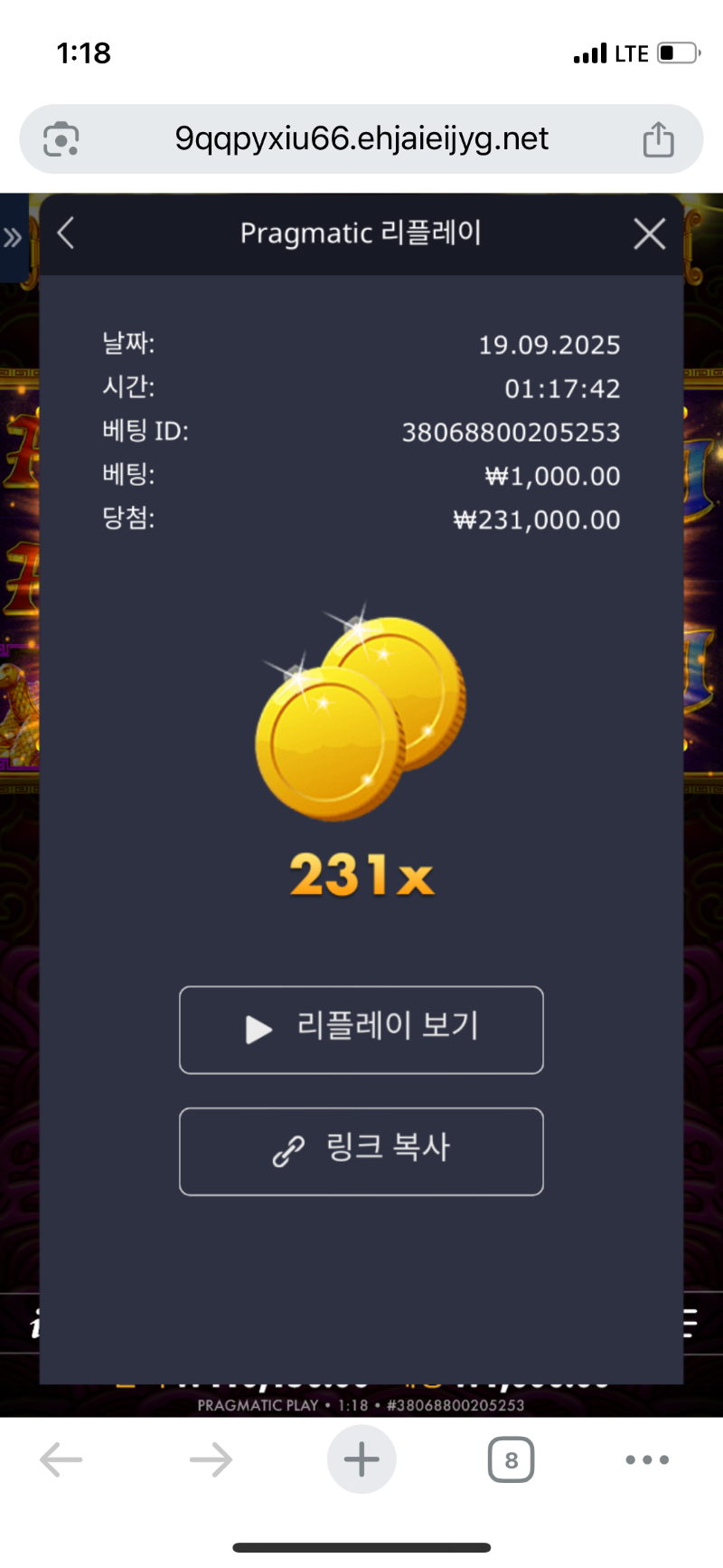 토라메 231 배