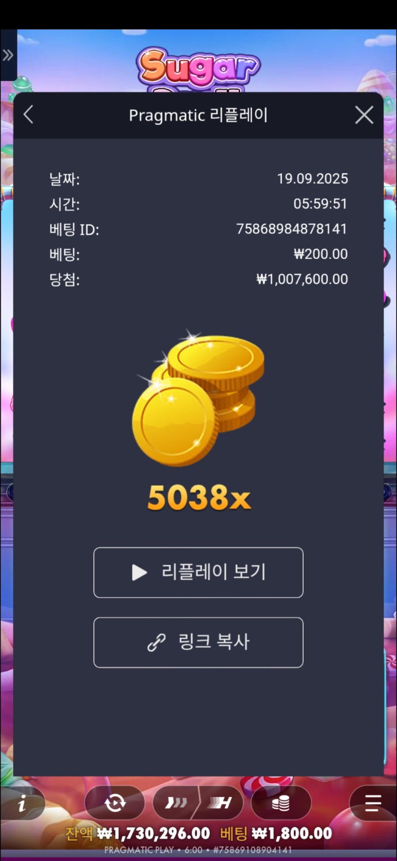 슈천 5038배