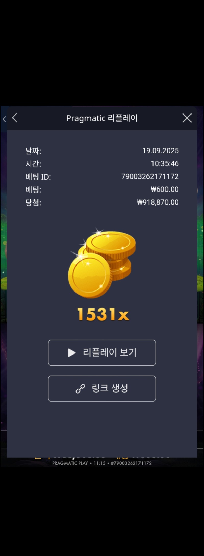 멀린 1531배