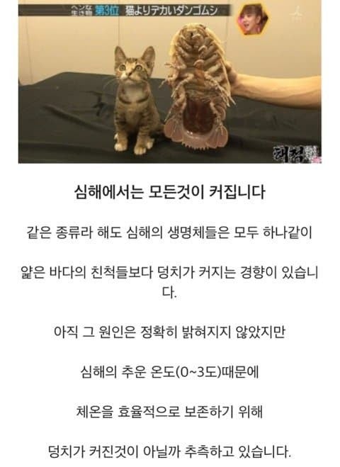 바다에 관한 신비한 사실