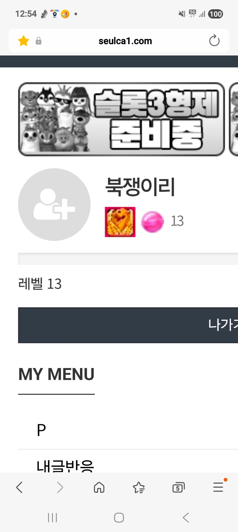 13으로 레벨업 했네요.ㅎ